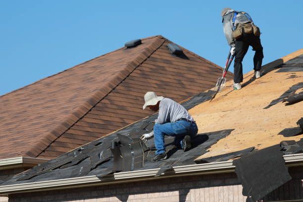 Best Asphalt Shingle Roofing  in Bayou Lourse, LA